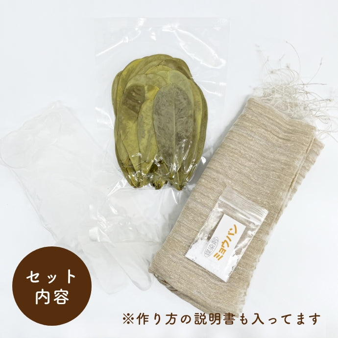 Fukugi dyeing experience kit